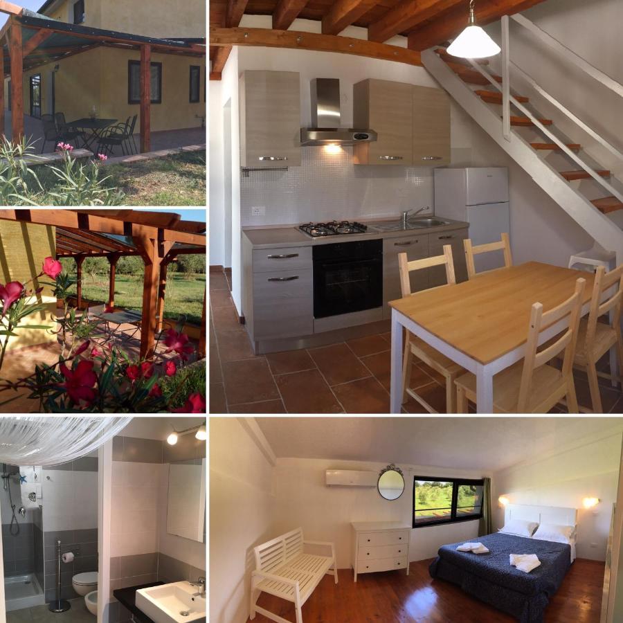 Farm stay Agriturismo Il Nazareno